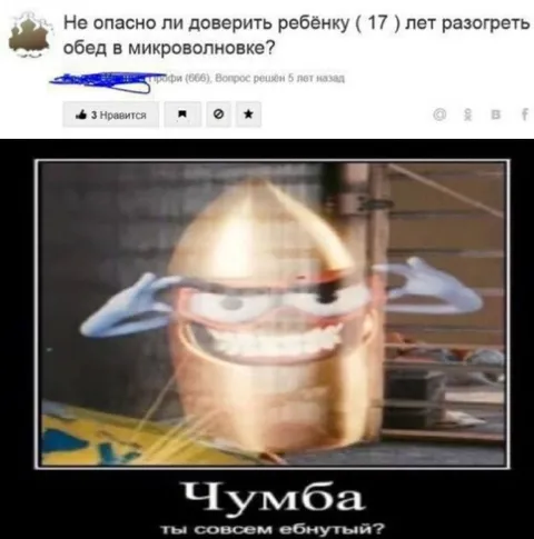 Доверить 17-летнему микроволновку