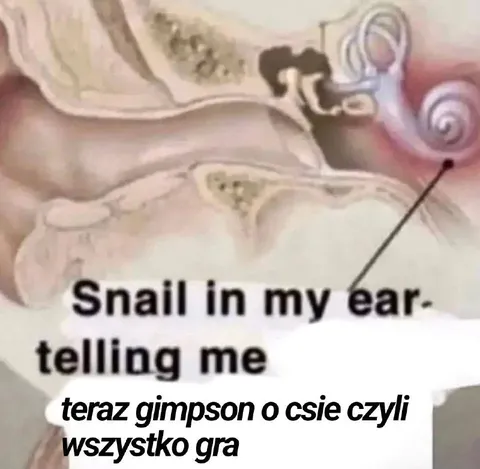 Ślimak mówi, że wszystko gra