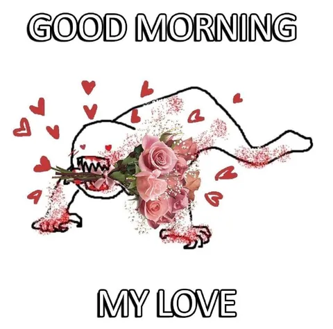 Good Morning My Love