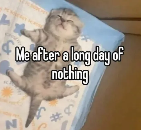 Cat After Doing Nothing All Day