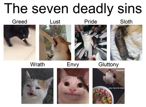 Cats Represent the Seven Deadly Sins