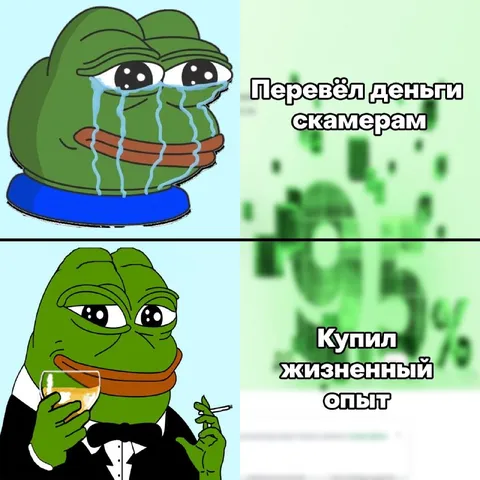 Перевёл деньги скамерам