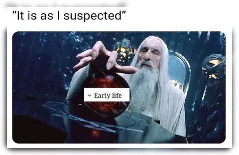 Saruman Examines Early Life