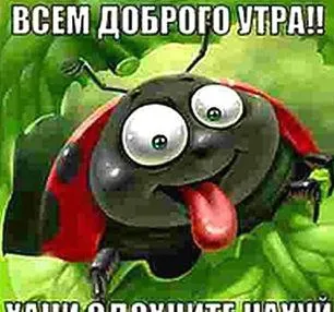 Доброе утро от жука