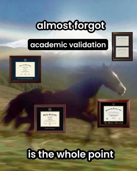 Academic Validation Is the Point