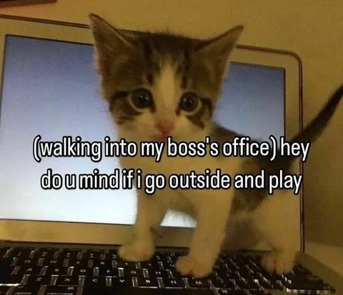 Kitten Asks to Play Outside