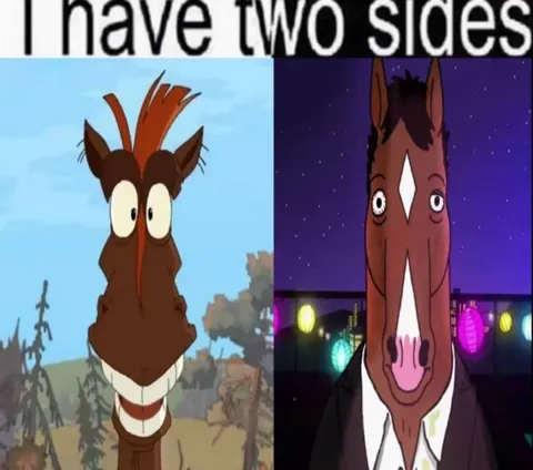 I Have Two Sides BoJack