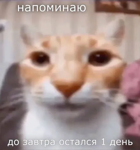 До завтра остался один день