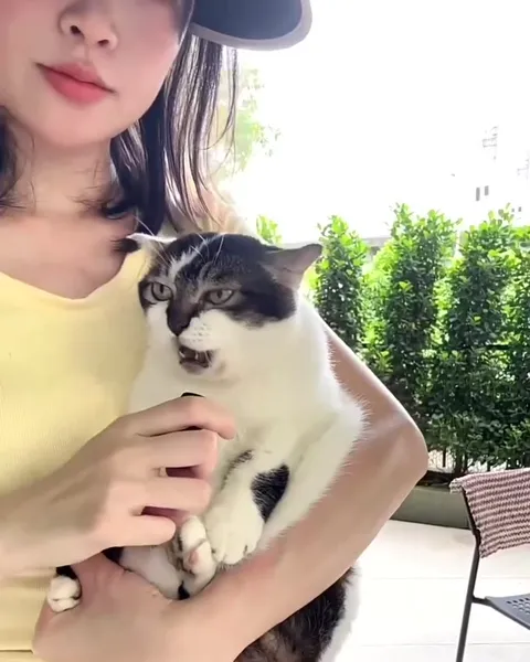 Кот наконец мяукнул
