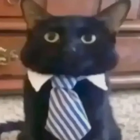 Кот в деловом костюме