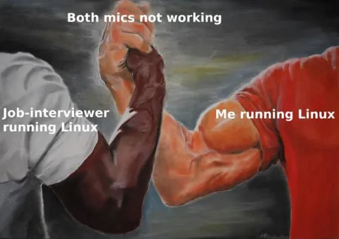 Both Mics Not Working Linux Interview