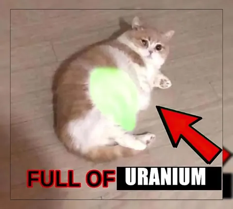 Cat Full of Uranium