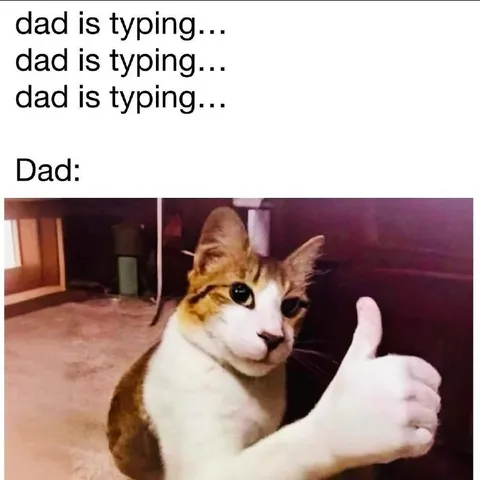 Dad Is Typing Cat