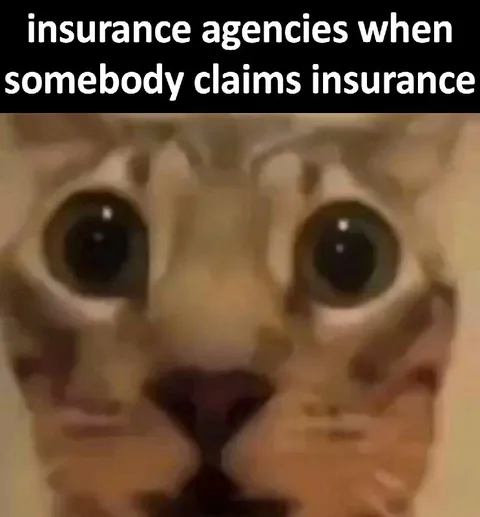 Insurance Agencies When Someone Claims
