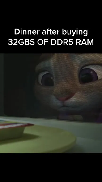 Dinner After Buying DDR5 RAM