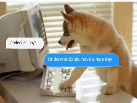 I Prefer Bad Boys