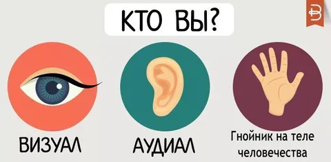 Кто вы: визуал, аудиал или гнойник