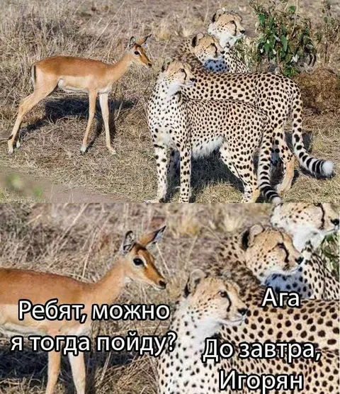 Можно я тогда пойду