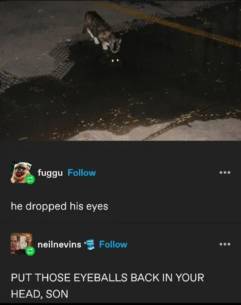 Put Those Eyeballs Back