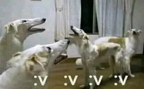 Стая собак :V