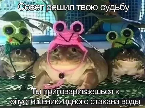 Совет решил твою судьбу