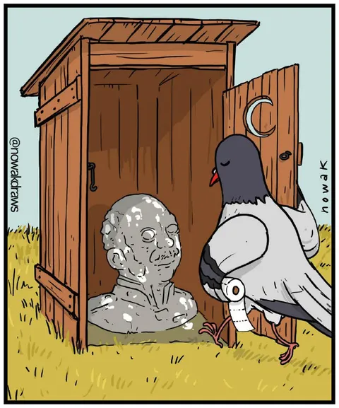 Голубь у странного туалета