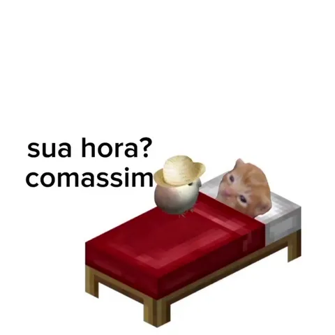 Passarinho bebe água da chuva