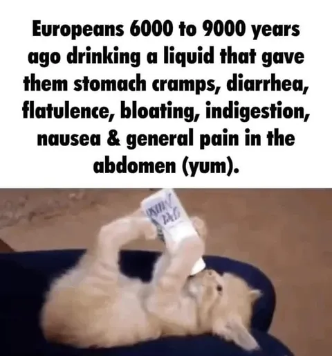 Ancient Europeans Drinking Milk