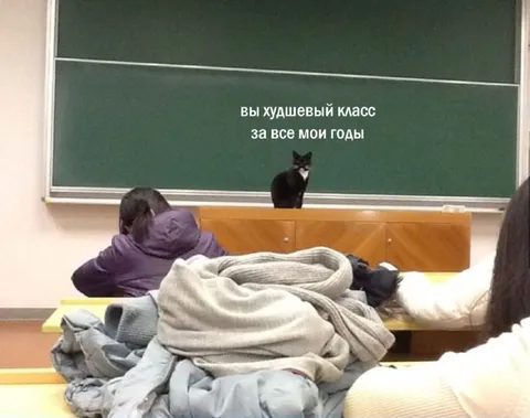Худшевый класс за все годы