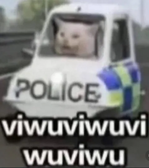 Police Car Siren Sound