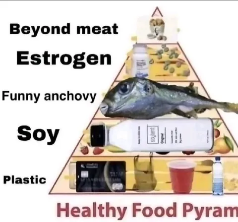 Healthy Food Pyramid Gone Wrong