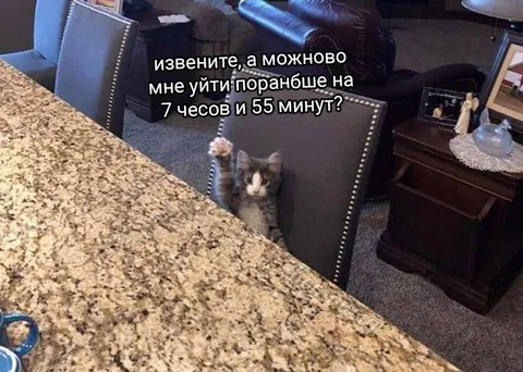 Кот просится уйти пораньше