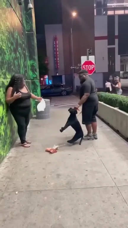Woman Confronts a Guide Dog
