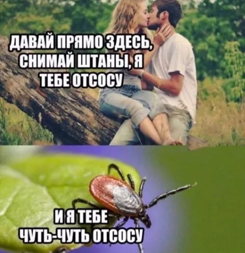 Чуть-чуть отсосу