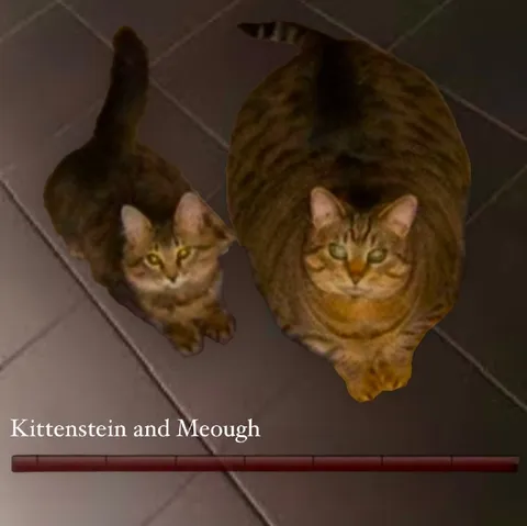 Kittenstein and Meough Cats