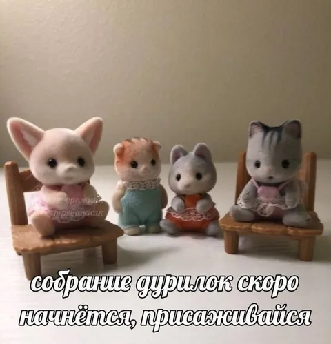 Собрание дурилок скоро начнётся