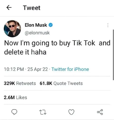 Elon Musk Buys TikTok