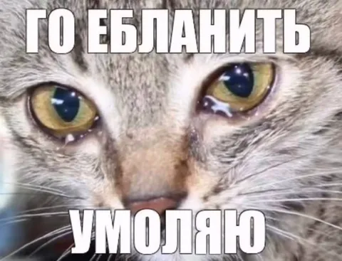 Го бланить умоляю