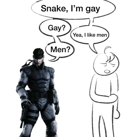 Snake Misunderstands Gay