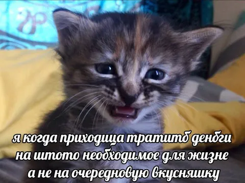 Когда деньги уходят на необходимое