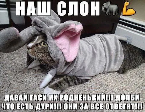 Наш слон готов к атаке