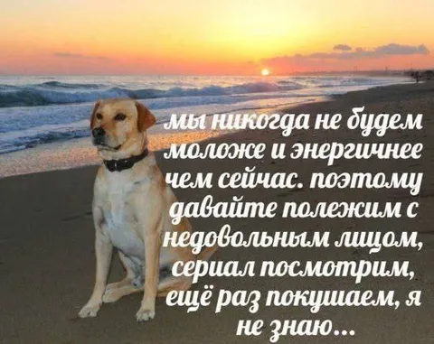 Никогда не будем моложе