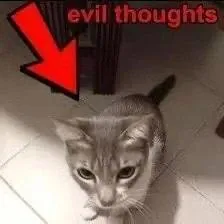 Cat With Evil Thoughts