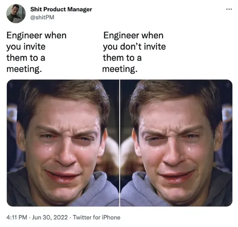 Engineer Meeting Crying Reaction