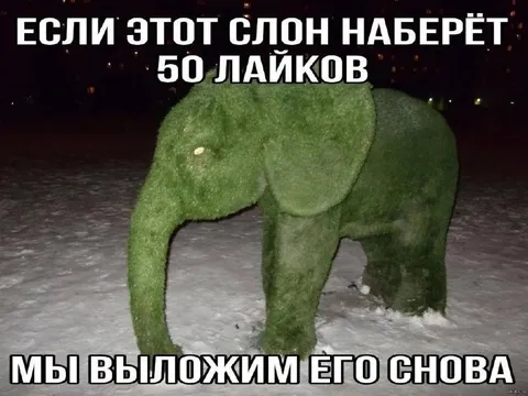 Слон из снега набрал лайки