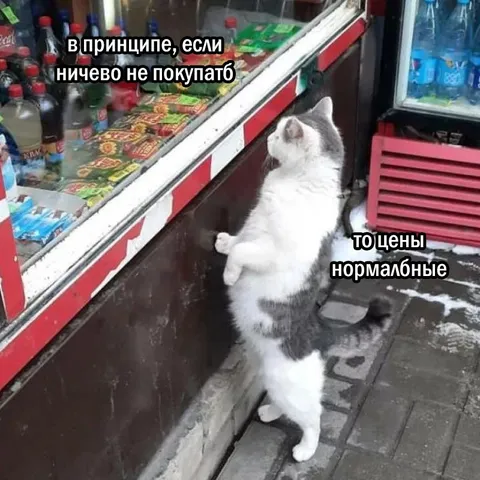 Если ничего не покупать