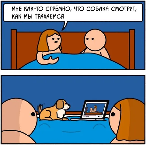 Собака смотрит наше видео
