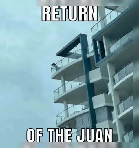 Return of the Juan