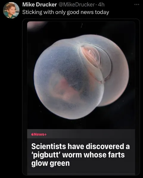Sticking With Only Good News