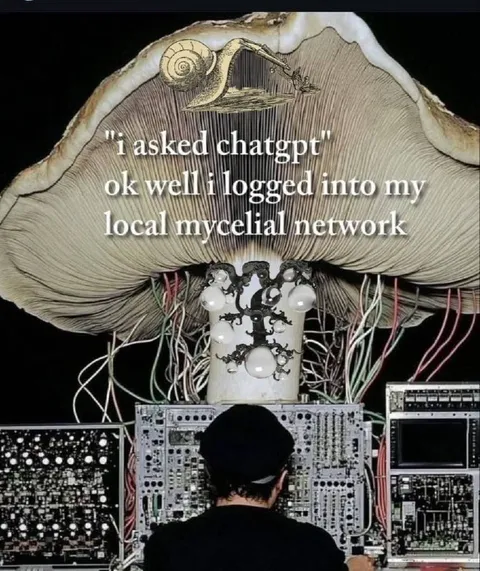 Logged Into the Mycelial Network